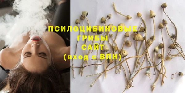 шишки Алзамай