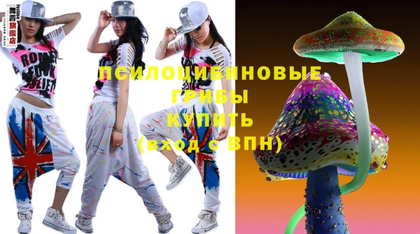 шишки Алзамай