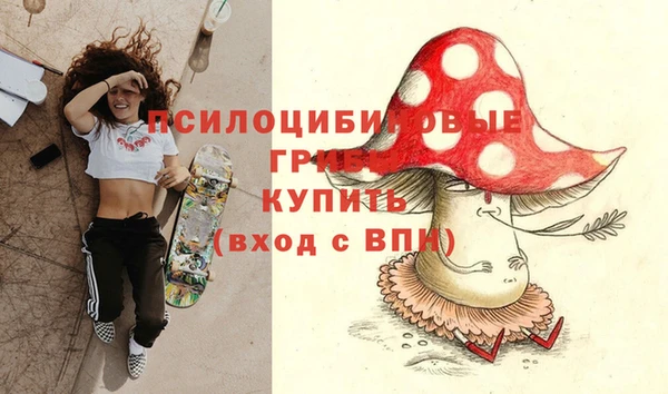 шишки Алзамай