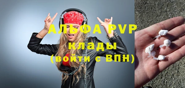 шишки Алзамай