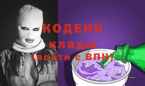 шишки Алзамай