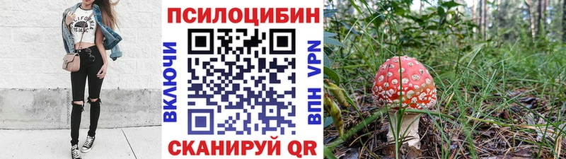 Псилоцибиновые грибы мицелий  Ачхой-Мартан 